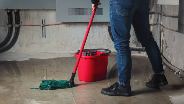 Best Water damage restoration near me  in North Webster, IN
