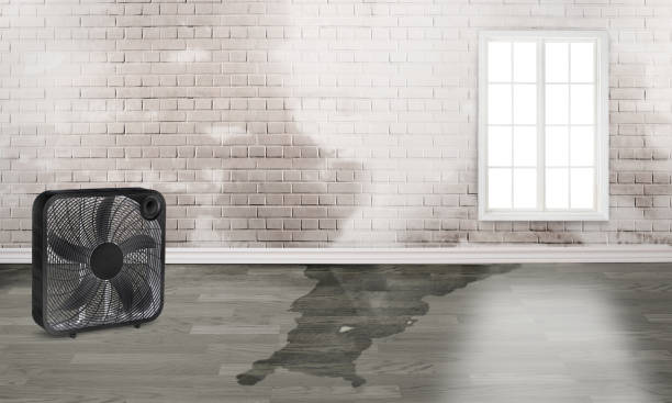 Best 24-hour water damage restoration  in North Webster, IN