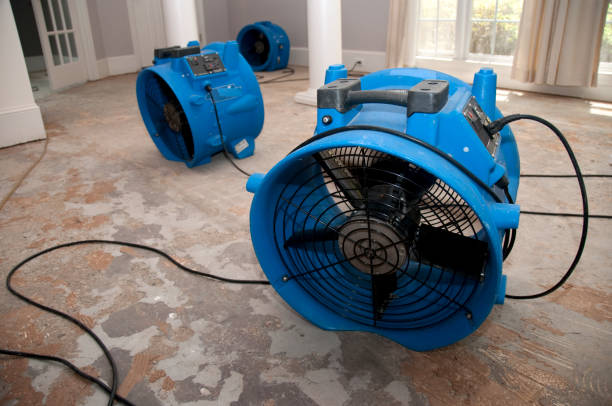 Best Emergency water extraction  in North Webster, IN